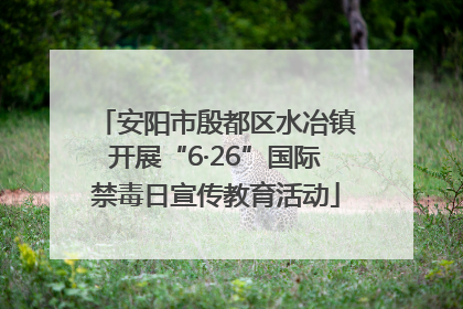 安阳市殷都区水冶镇开展“6·26”国际禁毒日宣传教育活动