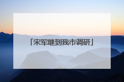 宋军继到我市调研