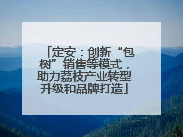 定安：创新“包树”销售等模式，助力荔枝产业转型升级和品牌打造