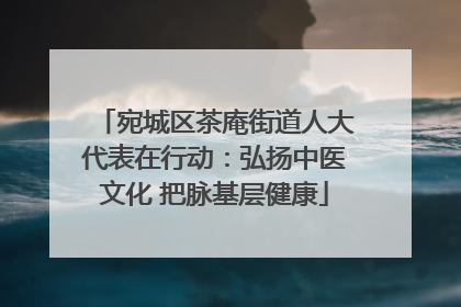 宛城区茶庵街道人大代表在行动：弘扬中医文化 把脉基层健康