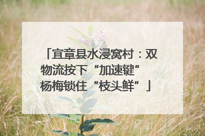 宜章县水浸窝村：双物流按下“加速键” 杨梅锁住“枝头鲜”