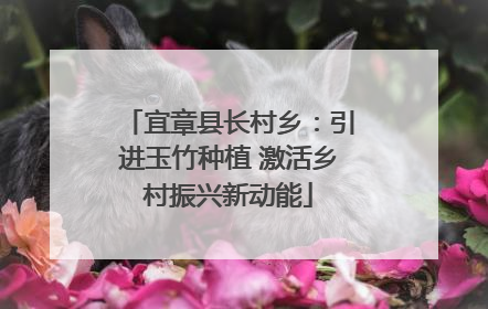宜章县长村乡：引进玉竹种植 激活乡村振兴新动能