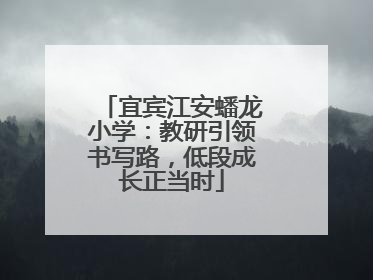 宜宾江安蟠龙小学：教研引领书写路，低段成长正当时