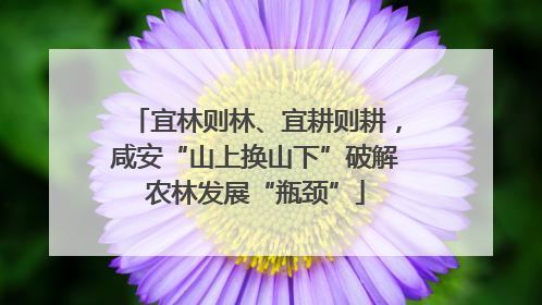 宜林则林、宜耕则耕，咸安“山上换山下”破解农林发展“瓶颈”
