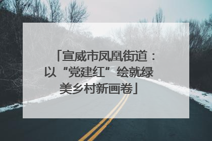 宣威市凤凰街道：以“党建红”绘就绿美乡村新画卷