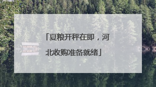 夏粮开秤在即，河北收购准备就绪