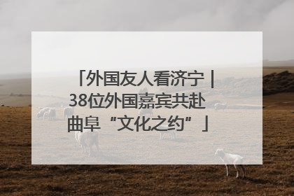 外国友人看济宁｜38位外国嘉宾共赴曲阜“文化之约”