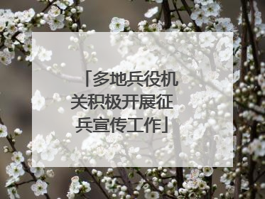 多地兵役机关积极开展征兵宣传工作