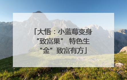 大悟：小蓝莓变身“致富果” 特色生“金”致富有方