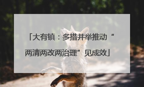 大有镇：多措并举推动“两清两改两治理”见成效