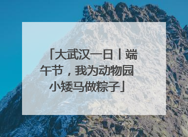 大武汉一日丨端午节，我为动物园小矮马做粽子