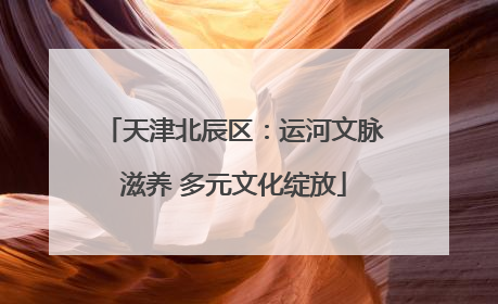 天津北辰区：运河文脉滋养 多元文化绽放