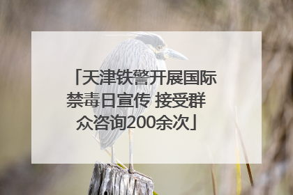 天津铁警开展国际禁毒日宣传 接受群众咨询200余次
