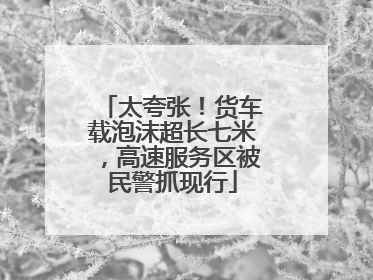 太夸张！货车载泡沫超长七米，高速服务区被民警抓现行