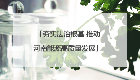 夯实法治根基 推动河南能源高质量发展