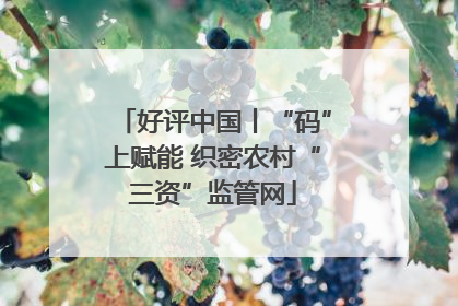 好评中国丨“码”上赋能 织密农村“三资”监管网