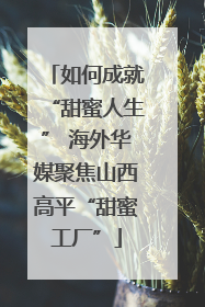 如何成就“甜蜜人生” 海外华媒聚焦山西高平“甜蜜工厂”