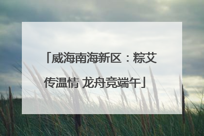 威海南海新区：粽艾传温情 龙舟竞端午