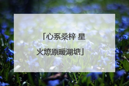 心系桑梓 星火燎原暖湖塘
