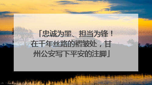 忠诚为墨、担当为锋！在千年丝路的褶皱处，甘州公安写下平安的注脚