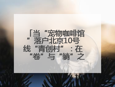 当“宠物咖啡馆”落户北京10号线“青创村”：在“卷”与“躺”之间，他们找到了第三种生活公式