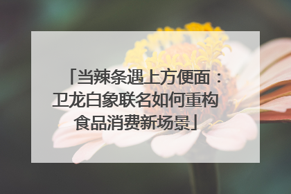 当辣条遇上方便面：卫龙白象联名如何重构食品消费新场景