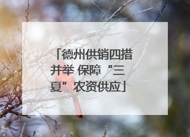 德州供销四措并举 保障“三夏”农资供应