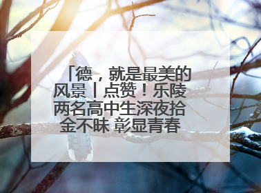 德，就是最美的风景丨点赞！乐陵两名高中生深夜拾金不昧 彰显青春正能量