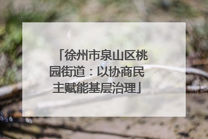 徐州市泉山区桃园街道：以协商民主赋能基层治理