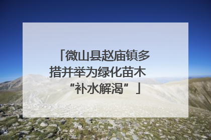 微山县赵庙镇多措并举为绿化苗木“补水解渴”