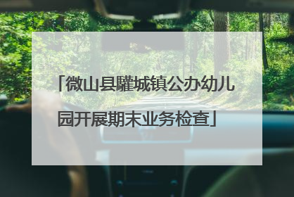 微山县驩城镇公办幼儿园开展期末业务检查