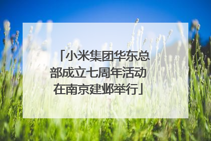 小米集团华东总部成立七周年活动在南京建邺举行