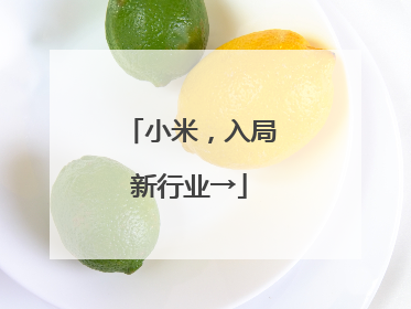 小米，入局新行业→