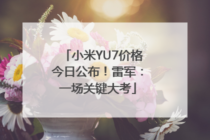 小米YU7价格今日公布！雷军：一场关键大考