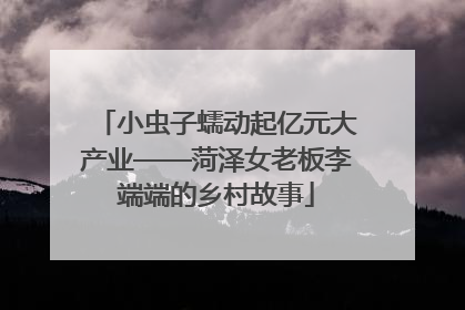 小虫子蠕动起亿元大产业——菏泽女老板李端端的乡村故事