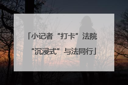 小记者“打卡”法院 “沉浸式”与法同行