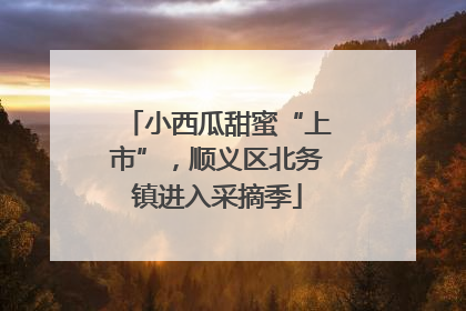 小西瓜甜蜜“上市”，顺义区北务镇进入采摘季