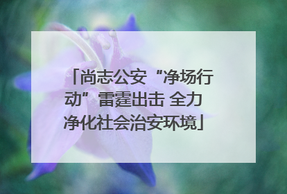 尚志公安“净场行动”雷霆出击 全力净化社会治安环境