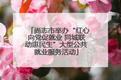 尚志市举办“红心向党促就业 同城联动惠民生”大型公共就业服务活动