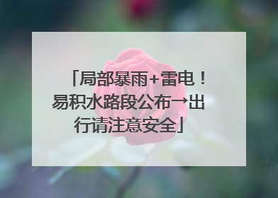 局部暴雨+雷电！易积水路段公布→出行请注意安全