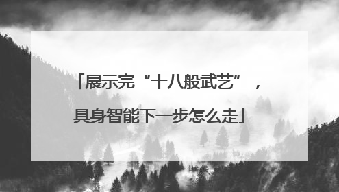 展示完“十八般武艺”，具身智能下一步怎么走