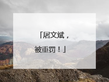 屠文斌，被重罚！