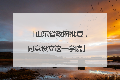山东省政府批复，同意设立这一学院