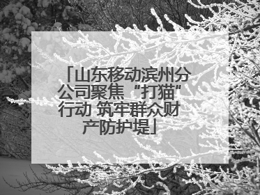 山东移动滨州分公司聚焦“打猫”行动 筑牢群众财产防护堤
