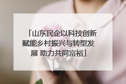 山东民企以科技创新赋能乡村振兴与转型发展 助力共同富裕