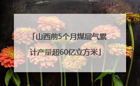 山西前5个月煤层气累计产量超60亿立方米