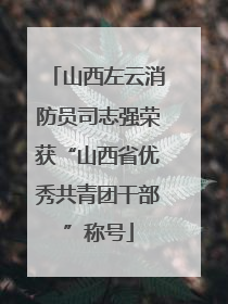 山西左云消防员司志强荣获“山西省优秀共青团干部”称号