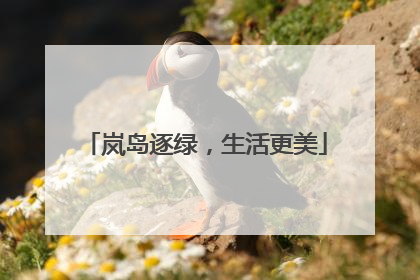 岚岛逐绿，生活更美