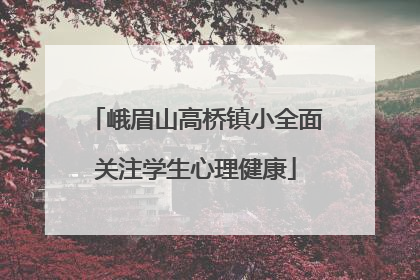 峨眉山高桥镇小全面关注学生心理健康