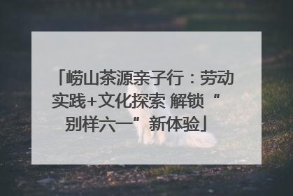 崂山茶源亲子行：劳动实践+文化探索 解锁“别样六一”新体验